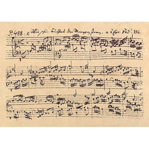 Wie sch&ouml;n leuchtet der Morgenstern