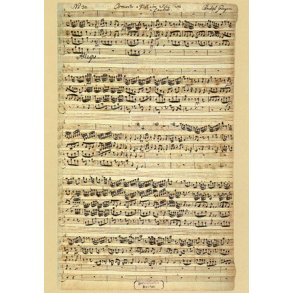 Konzert für Blockflöte und Streicher in F