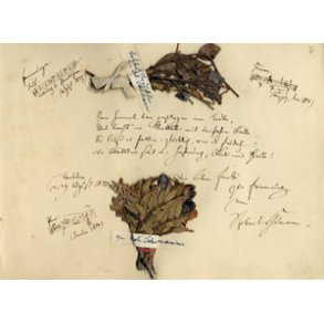 Albumblatt für Emilie Steffens