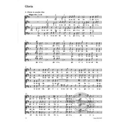 Messe in D : Orchesterfassung