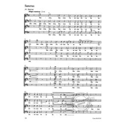 Messe in D : Orchesterfassung