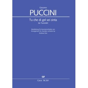 Tu Che Di Gel Sei Cinta : Romanza of Liu from Turandot