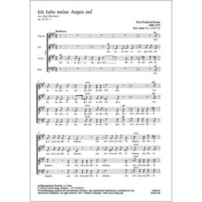 Ich hebe meine Augen auf