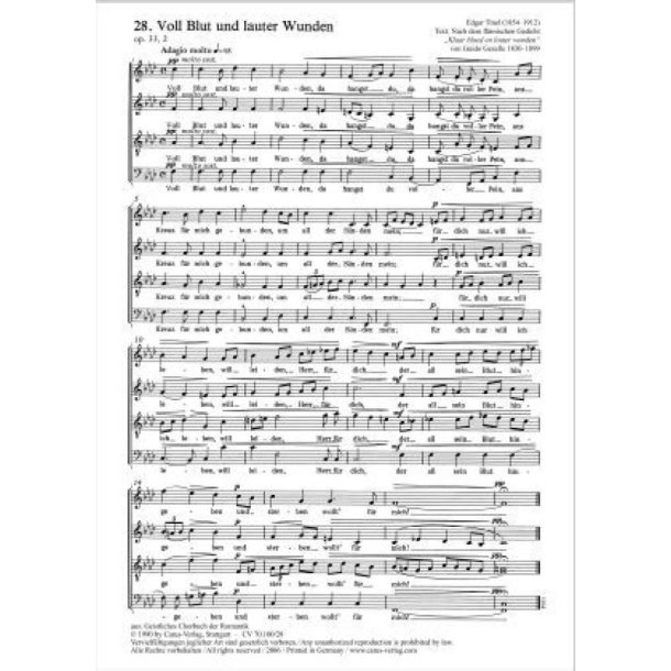 Voll Blut und lauter Wunden : f-Moll