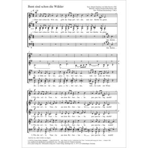 Bunt sind schon die Wälder : G major