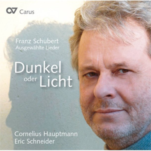 Dunkel oder Licht. Ausgew&auml;hlte Lieder