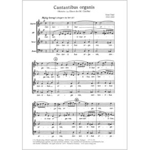 Cantantibus organis : Motette zu Ehren der hl. Cäcilia