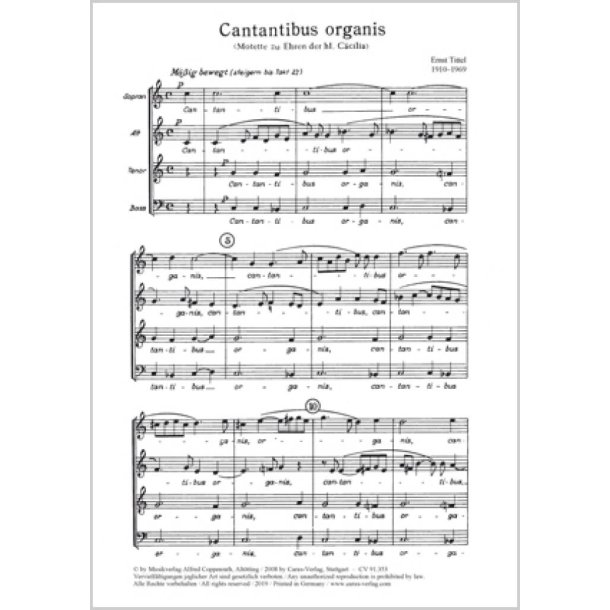 Cantantibus organis : Motette zu Ehren der hl. C&auml;cilia