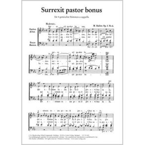 Surrexit pastor bonus