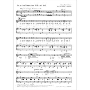 Es ist der Menschen Weh und Ach - G minor : from: Sonne, Mond und Sterne