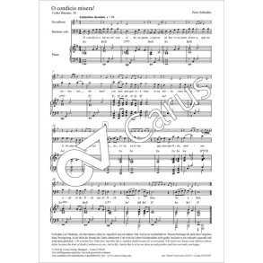 O condicio misera! - E minor : from: Perpetuum mobile - Songs from the Codex Buranus