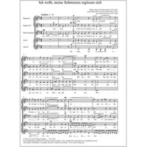 Ich wollt, meine Schmerzen ergössen sich