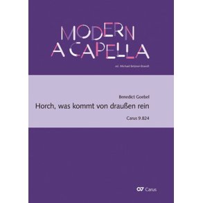 Horch, was kommt von draußen rein : Ein Song aus der Berliner Gegenwart