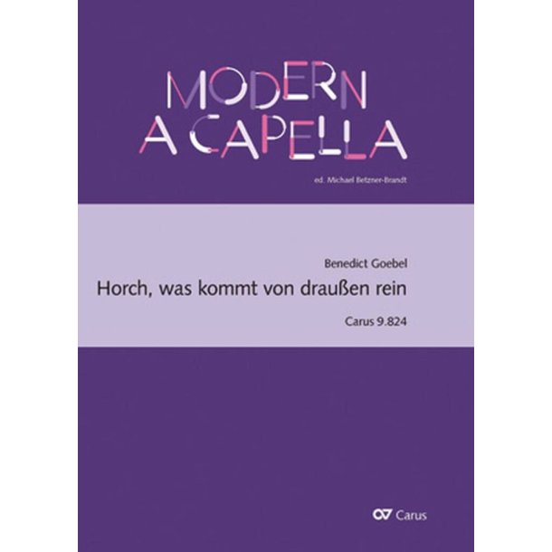 Horch, was kommt von drau&szlig;en rein : Ein Song aus der Berliner Gegenwart