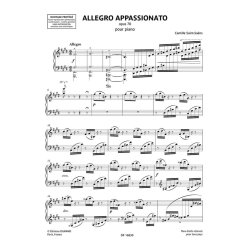 Allegro appassionato opus 70