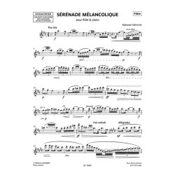 S&eacute;r&eacute;nade m&eacute;lancolique : pour fl&ucirc;te et piano