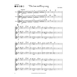 Fun for Flutes : Play-along flute trios, also suitable for flute choir