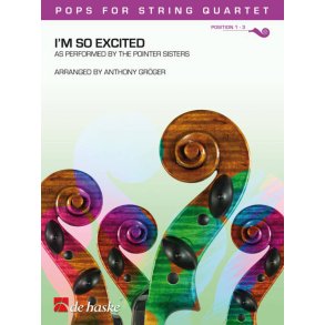 I'm So Excited : As performed by the Pointer Sisters