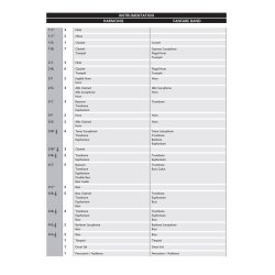 Clap Your Hands and Stamp Your Feet