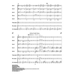 Sitcom Parade : Addams Family Theme - Happy Days - Mission Impossible Theme