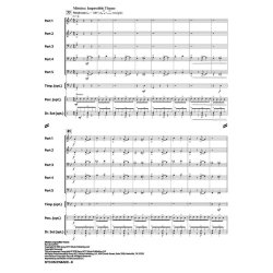 Sitcom Parade : Addams Family Theme - Happy Days - Mission Impossible Theme