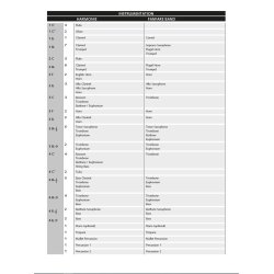 Christmas Wonderland