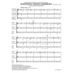 Everybody Needs Somebody : as performed by The Blues Brothers