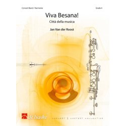 Viva Besana! : Citt della musica