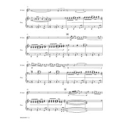 Dragonfly : Concerto for Euphonium