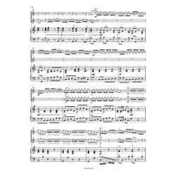 Concerto a-minor Op.3 No.8 RV 522 : 2 Violins-Strings-Bc for Violin and Piano