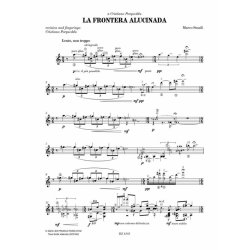 La frontera alucinada