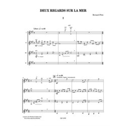 Deux regards sur la mer