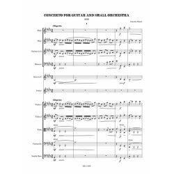 Concerto Guitar and Small Orchestra