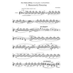 Four States of Being