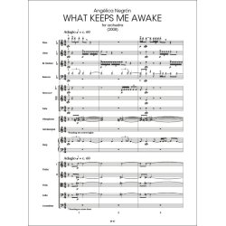 What Keeps Me Awake : for orchestra (2008)