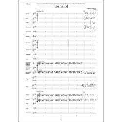 Tornasol : for Orchestra (2022)
