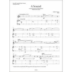 A sound : for solo voice/Bb clarinet/Bb bass clarinet and pre-recorded electronics (2022)