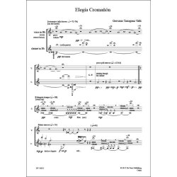 Eleg&iacute;a Croma&ntilde;&oacute;n