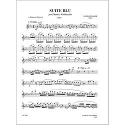 Blue Suite, for Flute and Cello