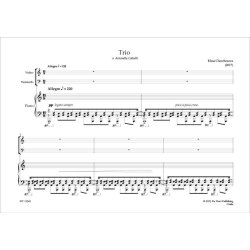 Trio, for Piano, Violin and Cello : Landscapes
