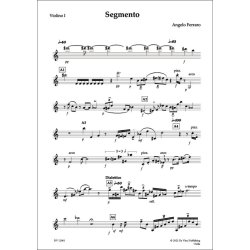 Segmento, for String Quartet