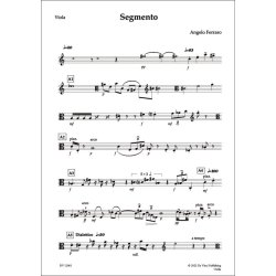 Segmento, for String Quartet
