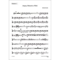 Acqua : Ghiaccio e Felci