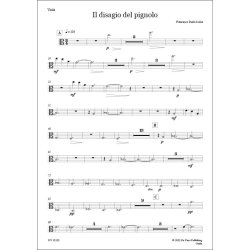 Il disagio del pignolo