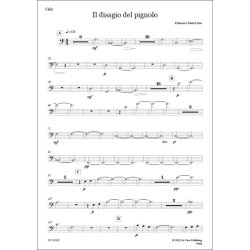 Il disagio del pignolo