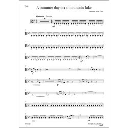 A Summer Day on a Mountain Lake