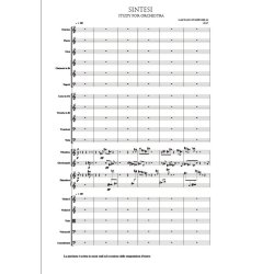 Sintesi, Study for Orchestra