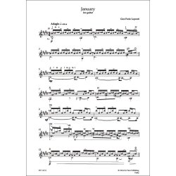 A year with my guitar