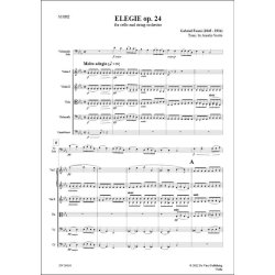 Elegie op. 24, for Cello and string Orchestra