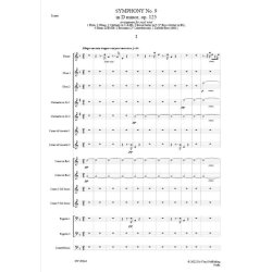 Symphony No. 9 in D minor, Op.125 'Choral'